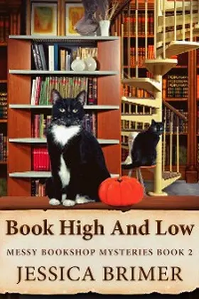 Brimer |  Book High And Low | eBook | Sack Fachmedien