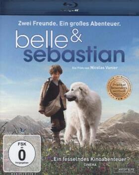 Sales / Suarez / Vanier |  Belle & Sebastian | Sonstiges |  Sack Fachmedien