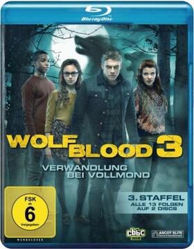 Moon / Saxby / Falkous |  Wolfblood 3 - Verwandlung bei Vollmond | Sonstiges |  Sack Fachmedien