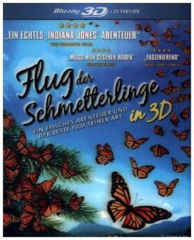 MacKeigan / Slee |  Flug der Schmetterlinge | Sonstiges |  Sack Fachmedien