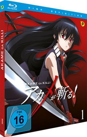 Nakamura / Tashiro / Uezu |  Akame Ga Kill - Schwerter der Assassinen - Vol. 1 | Sonstiges |  Sack Fachmedien