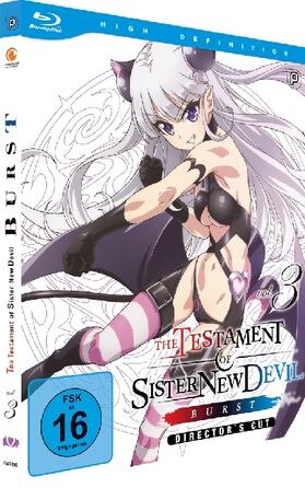  The Testament of Sister New Devil Burst | Sonstiges |  Sack Fachmedien