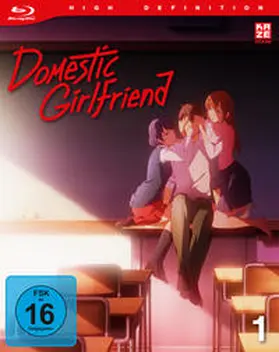 Ihata / Sasuga / Takahashi |  Domestic Girlfriend | Sonstiges |  Sack Fachmedien