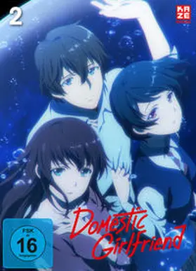 Ihata / Sasuga / Takahashi |  Domestic Girlfriend | Sonstiges |  Sack Fachmedien