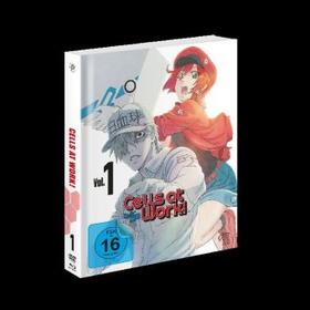 Kakihara / Shimizu / Suzuki |  Cells at Work! | Sonstiges |  Sack Fachmedien