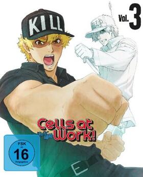 Kakihara / Shimizu / Suzuki |  Cells at Work! | Sonstiges |  Sack Fachmedien