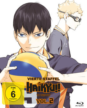 Furudate / Kishimoto / Mitsunaka |  Haikyu!! | Sonstiges |  Sack Fachmedien