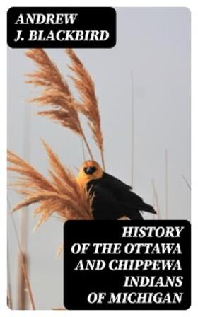 Blackbird |  History of the Ottawa and Chippewa Indians of Michigan | eBook | Sack Fachmedien