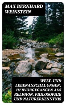 Weinstein |  Welt- und Lebenanschauungen; hervorgegangen aus Religion, Philosophie und Naturerkenntnis | eBook | Sack Fachmedien
