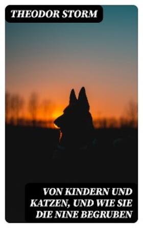 Storm |  Von Kindern und Katzen, und wie sie die Nine begruben | eBook | Sack Fachmedien