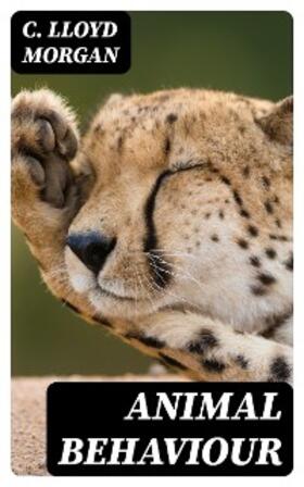 Morgan |  Animal Behaviour | eBook | Sack Fachmedien