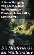Goethe / Verne / Flaubert |  Die Meisterwerke der Weltliterature | eBook | Sack Fachmedien