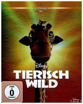 Decter / Gibson / Halprin |  Tierisch wild | Sonstiges |  Sack Fachmedien