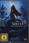  Arielle, die Meerjungfrau (Live Action) | Sonstiges |  Sack Fachmedien