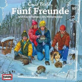 Blyton |  Fünf Freunde 093 und das Geheimnis des Winterwaldes | Sonstiges |  Sack Fachmedien
