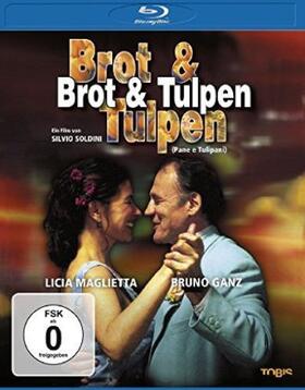 Leondeff / Soldini |  Brot & Tulpen | Sonstiges |  Sack Fachmedien