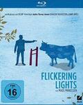 Jensen |  Flickering Lights | Sonstiges |  Sack Fachmedien