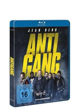 Hodge / Loubeyre / Love |  Antigang | Sonstiges |  Sack Fachmedien