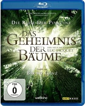 Jacquet / Hallé |  Das Geheimnis der Bäume | Sonstiges |  Sack Fachmedien