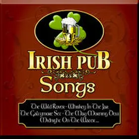  Irish Pub Songs | Sonstiges |  Sack Fachmedien