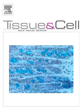 Tissue and Cell | Churchill Livingstone | Zeitschrift | sack.de