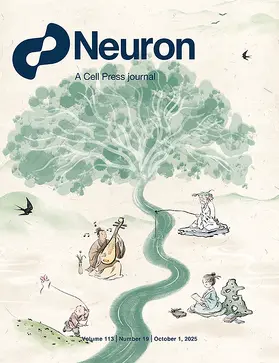  Neuron | Zeitschrift |  Sack Fachmedien