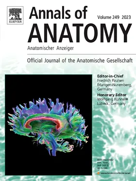 Annals of Anatomy | Urban & Fischer | Zeitschrift | sack.de