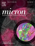  Micron | Zeitschrift |  Sack Fachmedien