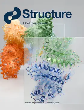  Structure | Zeitschrift |  Sack Fachmedien