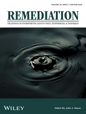  Remediation | Zeitschrift |  Sack Fachmedien