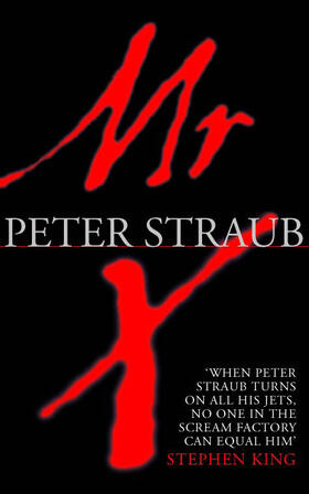 Straub |  Mr. X | Buch |  Sack Fachmedien