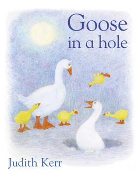 Kerr |  Goose In A Hole | Buch |  Sack Fachmedien