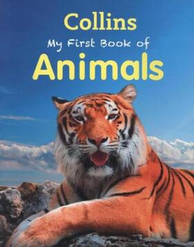 Morgan |  MY FBO ANIMALS | Buch |  Sack Fachmedien