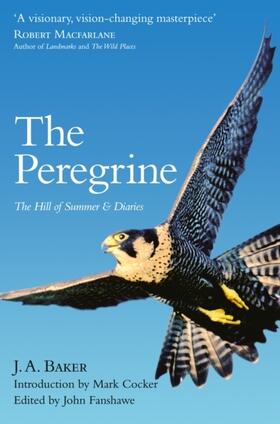 Baker / Fanshawe |  The Peregrine | Buch |  Sack Fachmedien