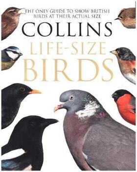 Sterry / Read |  Collins Life-Size Birds | Buch |  Sack Fachmedien