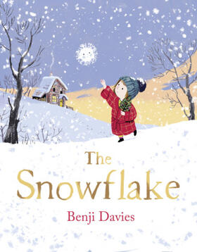 Davies | The Snowflake | Buch | 978-0-00-821283-4 | www.sack.de