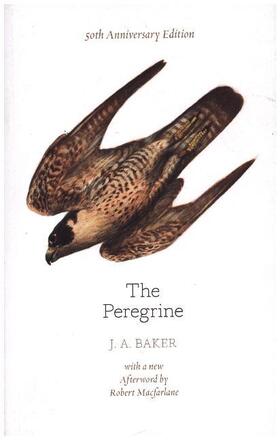 Baker / Fanshawe |  The Peregrine: 50th Anniversary Edition | Buch |  Sack Fachmedien
