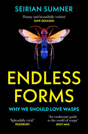 Sumner |  Endless Forms | Buch |  Sack Fachmedien