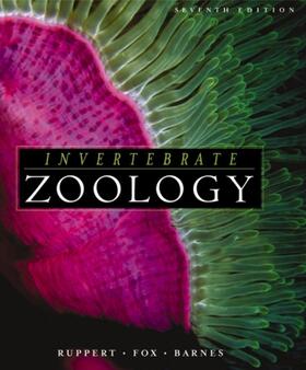 Fox |  Invertebrate Zoology | Buch |  Sack Fachmedien