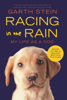 Stein |  Racing in the Rain | Buch |  Sack Fachmedien