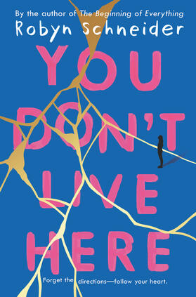 Schneider |  You Don't Live Here | Buch |  Sack Fachmedien