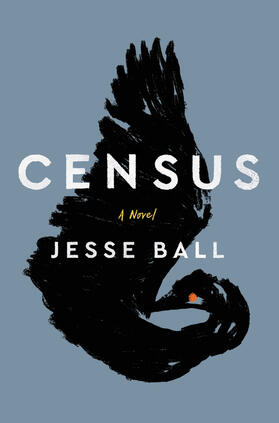 Ball |  Census | Buch |  Sack Fachmedien