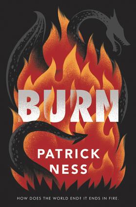 Ness |  Burn | Buch |  Sack Fachmedien