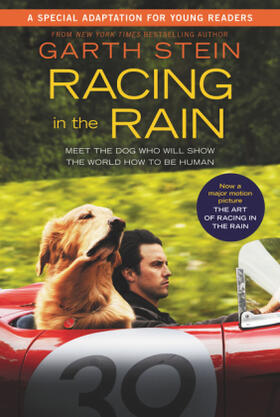 Stein |  Racing in the Rain | Buch |  Sack Fachmedien