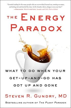 Gundry |  The Energy Paradox | Buch |  Sack Fachmedien