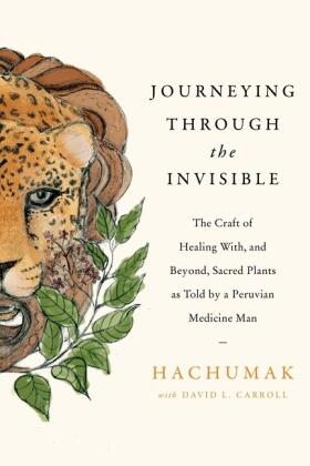 Carroll |  Journeying Through the Invisible | Buch |  Sack Fachmedien