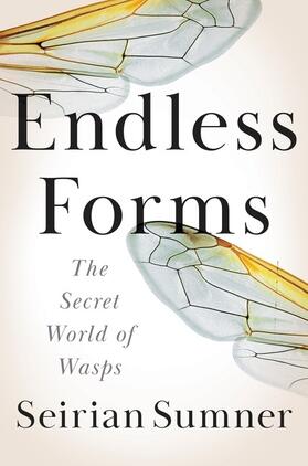 Sumner |  Endless Forms | Buch |  Sack Fachmedien