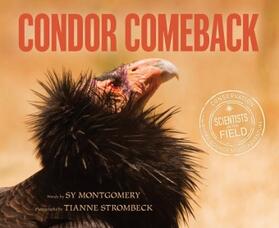Montgomery |  Condor Comeback | Buch |  Sack Fachmedien
