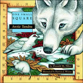 Silver / Wynne |  Arctic Tundra | Buch |  Sack Fachmedien