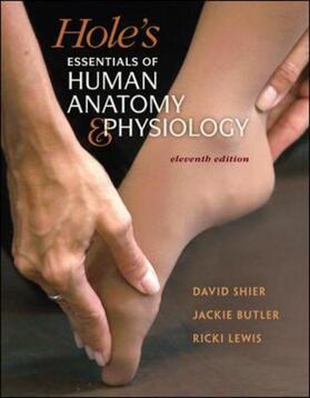 Shier / Butler / Lewis | Hole's Essentials of Human Anatomy & Physiology | Buch | sack.de